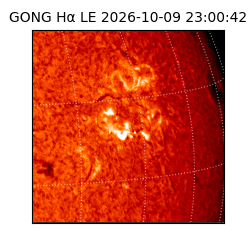 gong - 2026-10-09T23:00:42