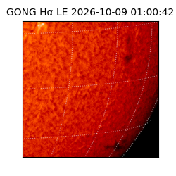 gong - 2026-10-09T01:00:42