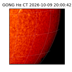 gong - 2026-10-09T20:00:42