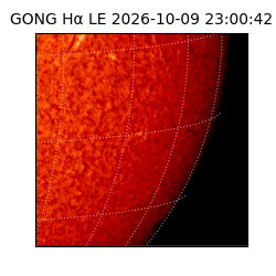 gong - 2026-10-09T23:00:42