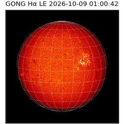 gong - 2026-10-09T01:00:42