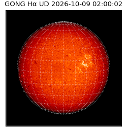 gong - 2026-10-09T02:00:02