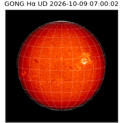 gong - 2026-10-09T07:00:02