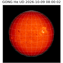 gong - 2026-10-09T08:00:02