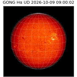 gong - 2026-10-09T09:00:02