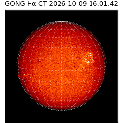 gong - 2026-10-09T16:01:42