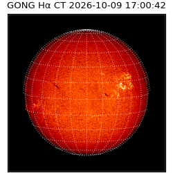 gong - 2026-10-09T17:00:42