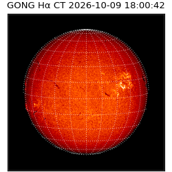 gong - 2026-10-09T18:00:42