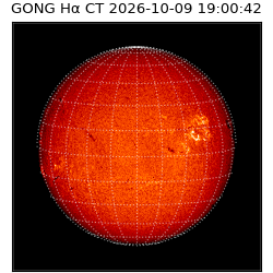 gong - 2026-10-09T19:00:42