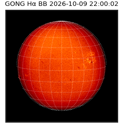 gong - 2026-10-09T22:00:02