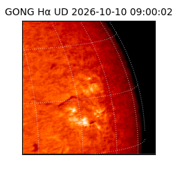 gong - 2026-10-10T09:00:02