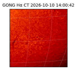 gong - 2026-10-10T14:00:42