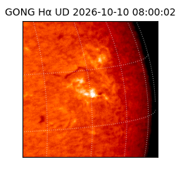 gong - 2026-10-10T08:00:02