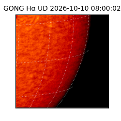 gong - 2026-10-10T08:00:02