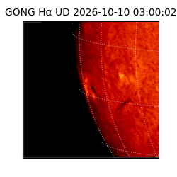 gong - 2026-10-10T03:00:02
