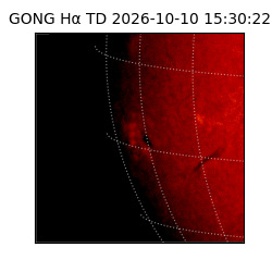 gong - 2026-10-10T15:30:22