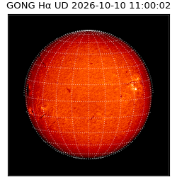gong - 2026-10-10T11:00:02