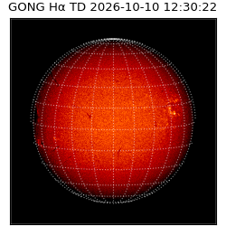 gong - 2026-10-10T12:30:22