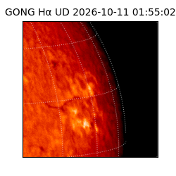 gong - 2026-10-11T01:55:02