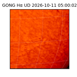 gong - 2026-10-11T05:00:02