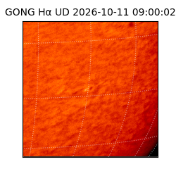gong - 2026-10-11T09:00:02