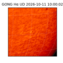 gong - 2026-10-11T10:00:02