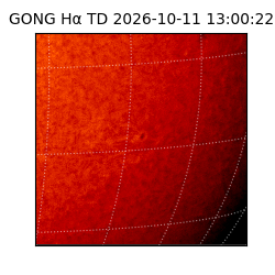 gong - 2026-10-11T13:00:22