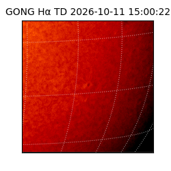 gong - 2026-10-11T15:00:22