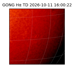 gong - 2026-10-11T16:00:22