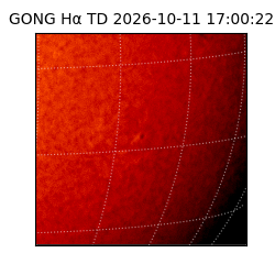 gong - 2026-10-11T17:00:22