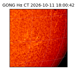 gong - 2026-10-11T18:00:42