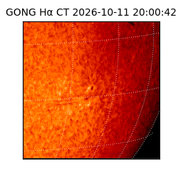 gong - 2026-10-11T20:00:42