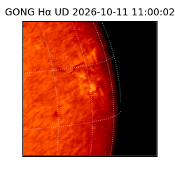 gong - 2026-10-11T11:00:02
