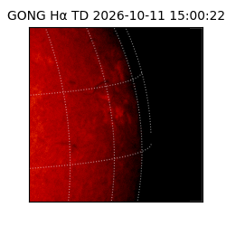 gong - 2026-10-11T15:00:22