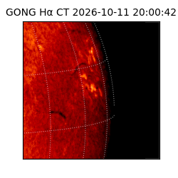 gong - 2026-10-11T20:00:42