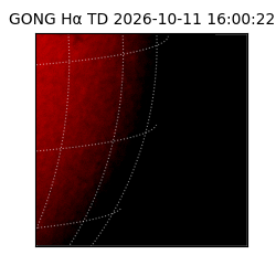 gong - 2026-10-11T16:00:22