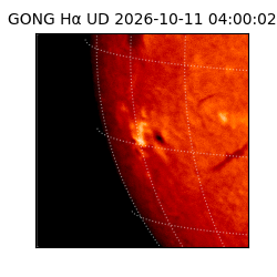 gong - 2026-10-11T04:00:02