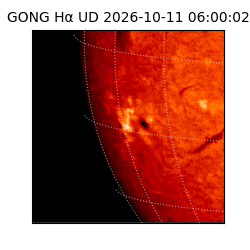 gong - 2026-10-11T06:00:02