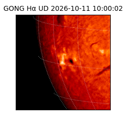 gong - 2026-10-11T10:00:02