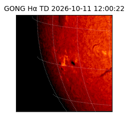 gong - 2026-10-11T12:00:22