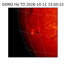 gong - 2026-10-11T15:00:22