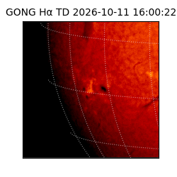 gong - 2026-10-11T16:00:22