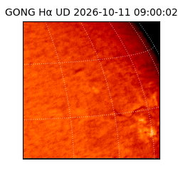 gong - 2026-10-11T09:00:02