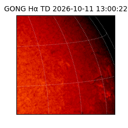 gong - 2026-10-11T13:00:22