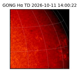 gong - 2026-10-11T14:00:22