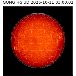 gong - 2026-10-11T03:00:02