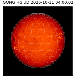 gong - 2026-10-11T04:00:02