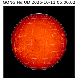 gong - 2026-10-11T05:00:02