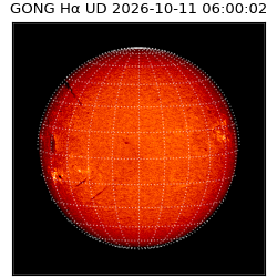 gong - 2026-10-11T06:00:02