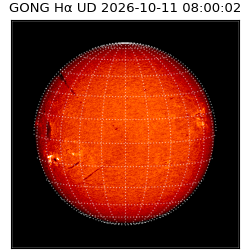 gong - 2026-10-11T08:00:02